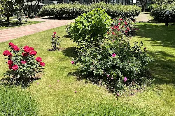 Ataşehir 61 ada Akasya 2 Blokları Yönetimi - Apartman Kompleksi - İstanbul Küçükçekmece
