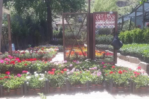Öz Başkent Çiçekçilik - Çiçekçi - Ankara Altındağ