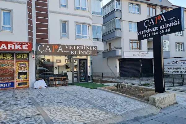 ÇAPA ANGORA VETERİNER KLİNİĞİ MAMAK - Veteriner - Ankara Mamak