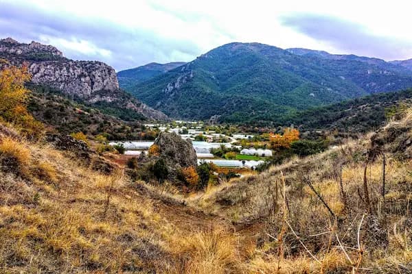 Yaş Sebze İmalatı - Restoran - Eskişehir Mihalgazi