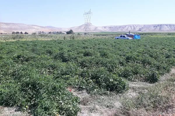 Ayaş Tarım Kredi Kooperatifi - Resmi Kurum - Ankara Yenimahalle