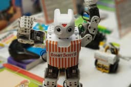 Robot Sepeti