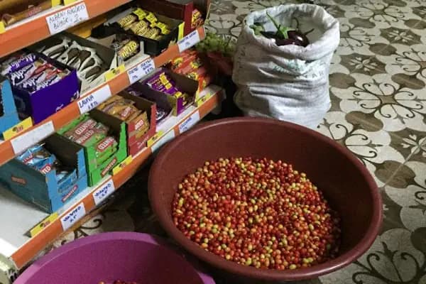 Subay Market - Bakkal - Adana Karaisalı