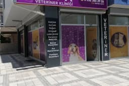 Alfa Veteriner Kliniği