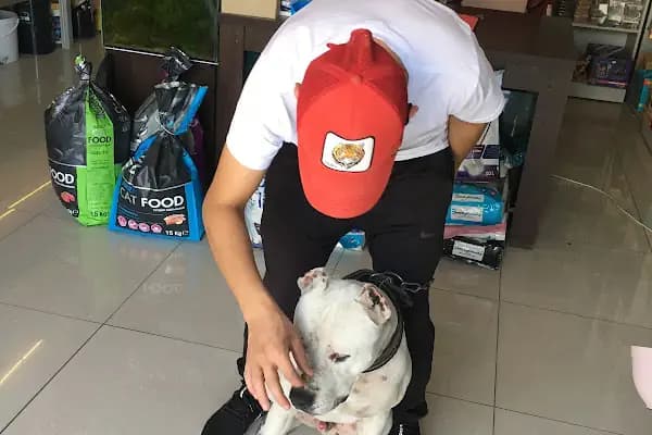 Selçuklu Petshop - Akvaryum Mağazası - Konya Karatay