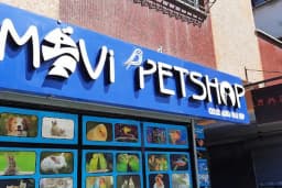 Mavi Petshop