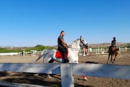 Antalya Binicilik ve Atlı Spor Kulübü