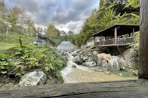 şelale alabalık - Balık Restoranı - Sakarya Adapazarı