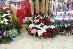ANKARA KAHRAMAN KAZAN ÇİÇEKÇİLİK