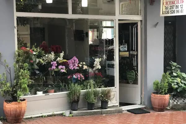 Bonsai Çiçekçilik - Çiçekçi - İstanbul Avcılar