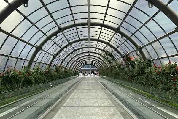IMCTEKNOPOL - Saç Transplantasyonu Kliniği - İstanbul Pendik