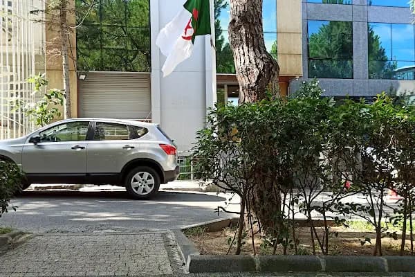 Cezayir İstanbul Başkonsolosluğu - Yabancı Ülke Konsolosluğu - İstanbul Şişli
