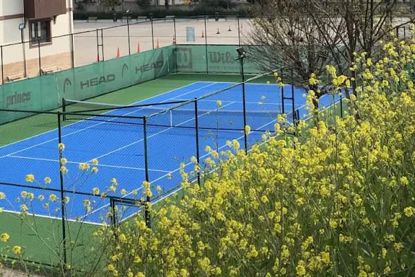 Tenis Kortu - Tenis Kortu - İstanbul Avcılar