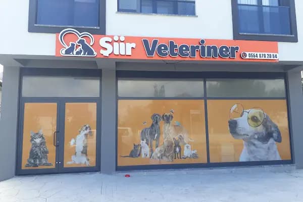 Şiir Veteriner Kliniği - Veteriner - Kocaeli Gebze