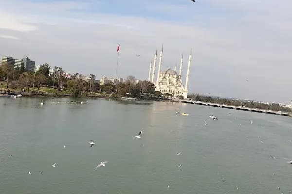 Arena Bilardo &amp; Cafe - Bilardo salonu - Adana Seyhan