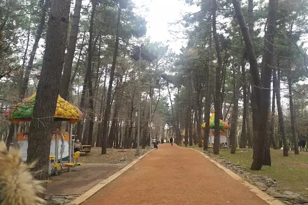 Çekmeköy Doğa Parkı - Park - İstanbul Arnavutköy