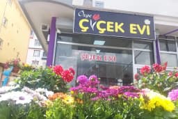 Özge Çiçek Evi