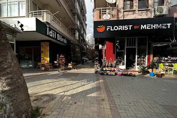 Alanya Bora Dis Deposu - Diş Malzemeleri Satıcısı - Antalya Kepez