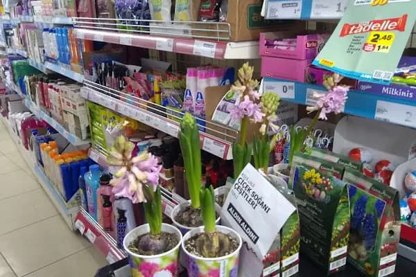 A101 - Süpermarket - Kahramanmaraş Dulkadiroğlu