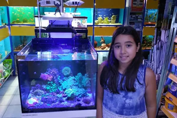 Hobby pet shop hobi grup ltd. - Evcil hayvan mağazası - Balıkesir Sındırgı