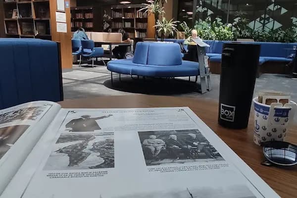 Bağcılar Belediyesi Yeni Hizmet Binası - Belediye Binası - İstanbul Arnavutköy