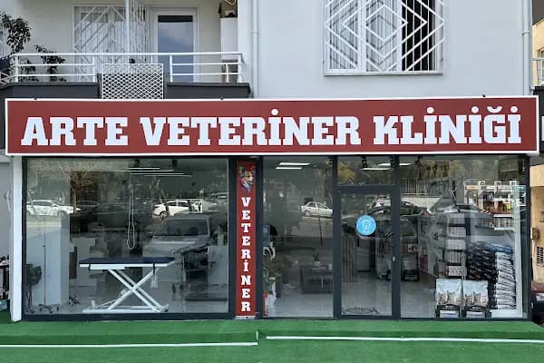 Arte Veteriner Kliniği - Veteriner - Ağrı Doğubayazıt