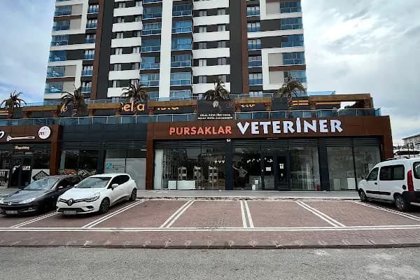 Pursaklar Hayvan Hastanesi ( Pursaklar’ın İlk Veterineri ) - Veteriner - Ankara Çankaya