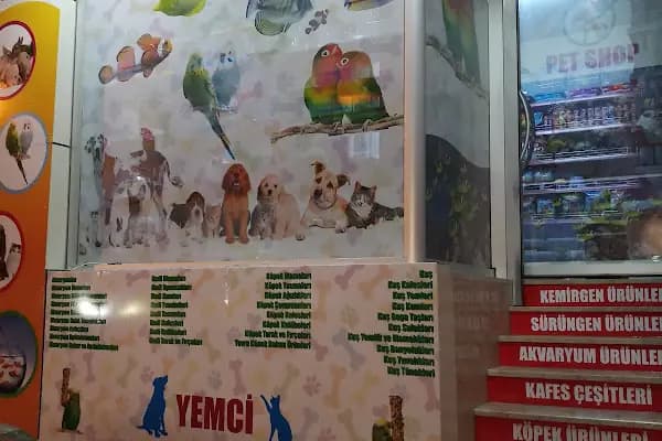 Alev Akvaryum - Akvaryum - İstanbul Başakşehir