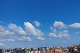 Veteriner Sitesi