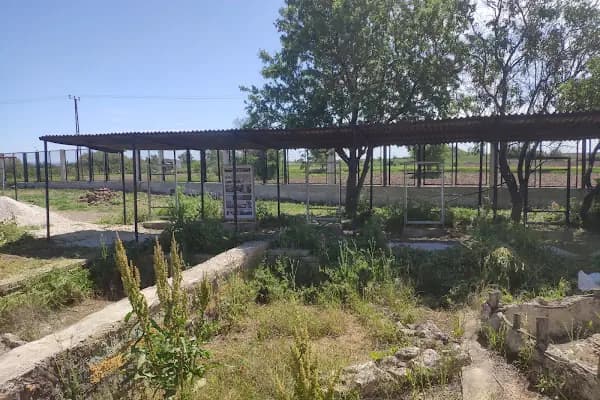 Aşağı Pınar Açık Hava Müzesi - Arkeoloji Müzesi - Kırklareli Kırklareli Merkez