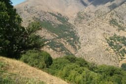 Akyayla
