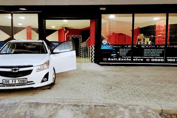 ALANYURT ASİL OTO YIKAMA - Araba Yıkama - Bursa İnegöl