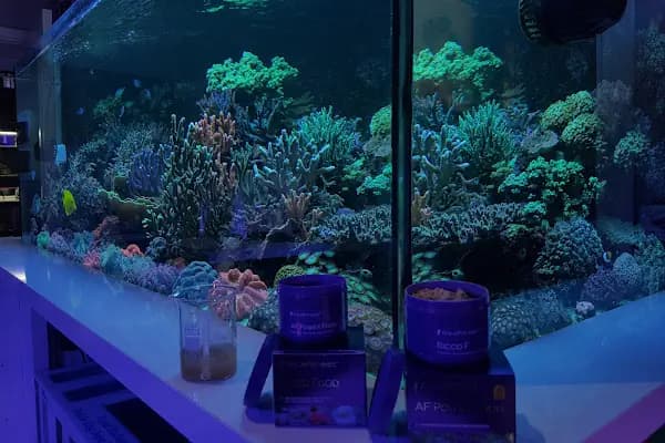 Aqua Reef Central - Akvaryum - Kocaeli İzmit