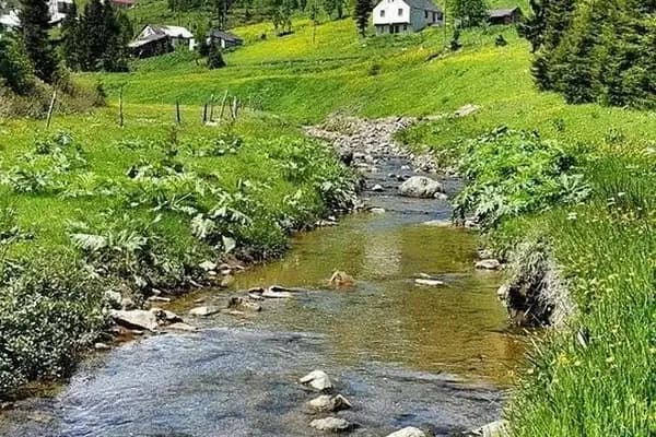 N.N.S. Kimya Temizlik Kozmetik Ambalaj Malzemeleri Nakliyat Sanayi Ticaret Ltd. Şti - Kurumsal Ofis - İzmir Aliağa