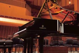 FREKANS MÜZİK (YAMAHA YETKİLİ BAYİİ)