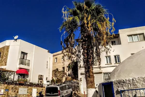Yeniköy Mahalle Muhtarlığı - Kamu Güvenliği Dairesi - Muğla Bodrum