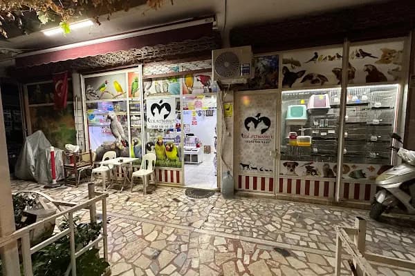 Tk Pet Market - Evcil Hayvan Malzemeleri Mağazası - Antalya Alanya