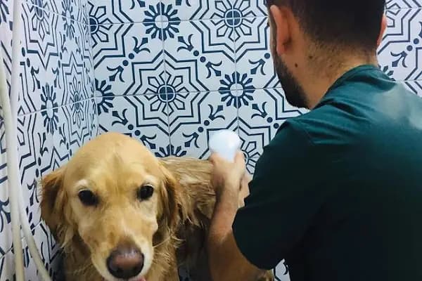 Petonomi Veteriner Kliniği - Veteriner - Mersin Mezitli