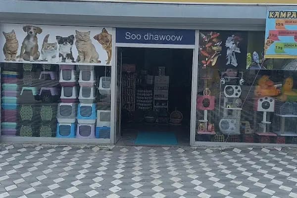 İmera Pet Shop - Evcil hayvan mağazası - Ankara Altındağ