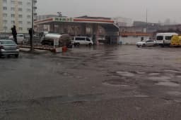 Çalın petrol
