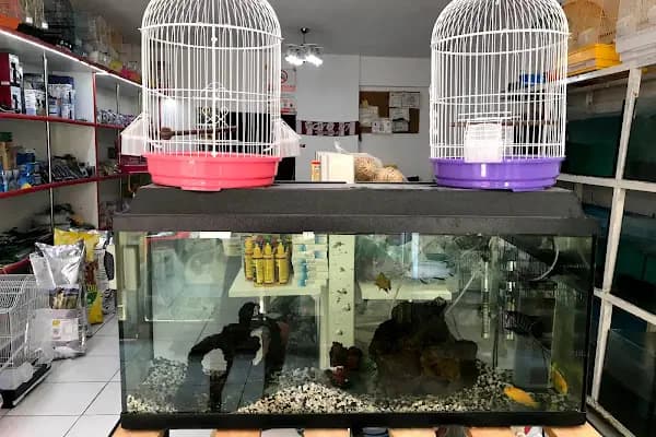 Kumluca Akvaryum-Petshop - Evcil hayvan mağazası - Antalya Kumluca