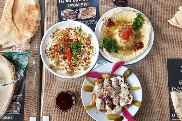 Şişko tavuk evi - Kümes Hayvanları Çiftliği - Şanlıurfa Ceylanpınar