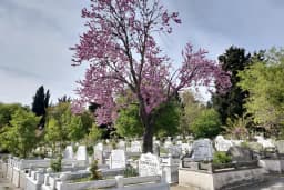 Eski Topkapı Mezarlığı