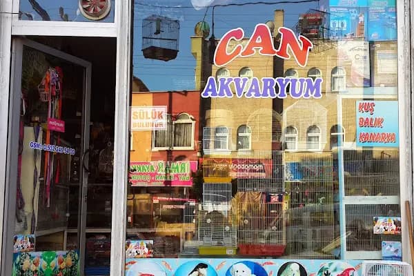 Can Akvaryum | Gaziantep Akvaryum | Gaziantep Pet Shop - Evcil hayvan mağazası - Gaziantep Şahinbey