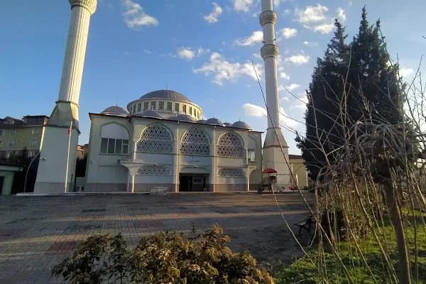 Ravza Camii - Cami - Kocaeli Çayırova