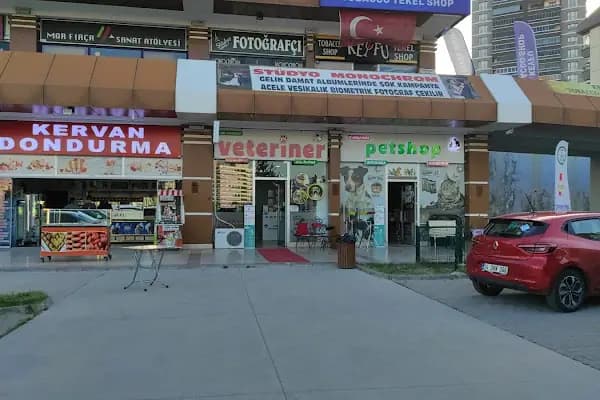 Taha Petshop - Evcil hayvan mağazası - Ankara Etimesgut