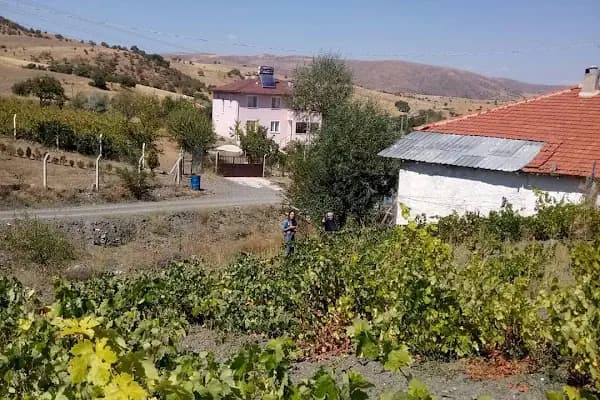 Ahmetadil - Yerleşim Yeri - Ankara Akyurt