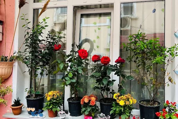 PEMBE PANSİYON BÜYÜKADA - Otel - İstanbul Küçükçekmece