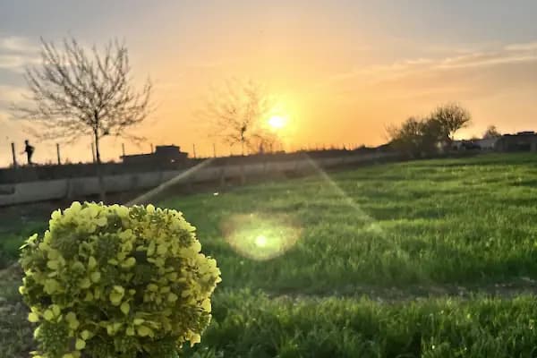 kayalık ilkokulu - Okul - Şanlıurfa Akçakale