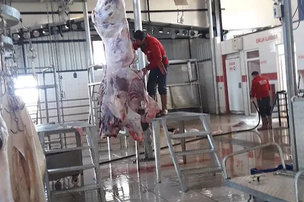 Acıpayam Belediyesi Canlı Hayvan Pazarı - Pazar - Denizli Acıpayam